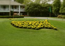The 2020 Masters Tournament Roundup