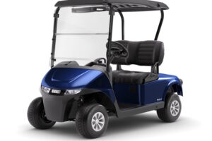 8 Best Electric Golf Carts – 2024 Reviews & Buying Guide